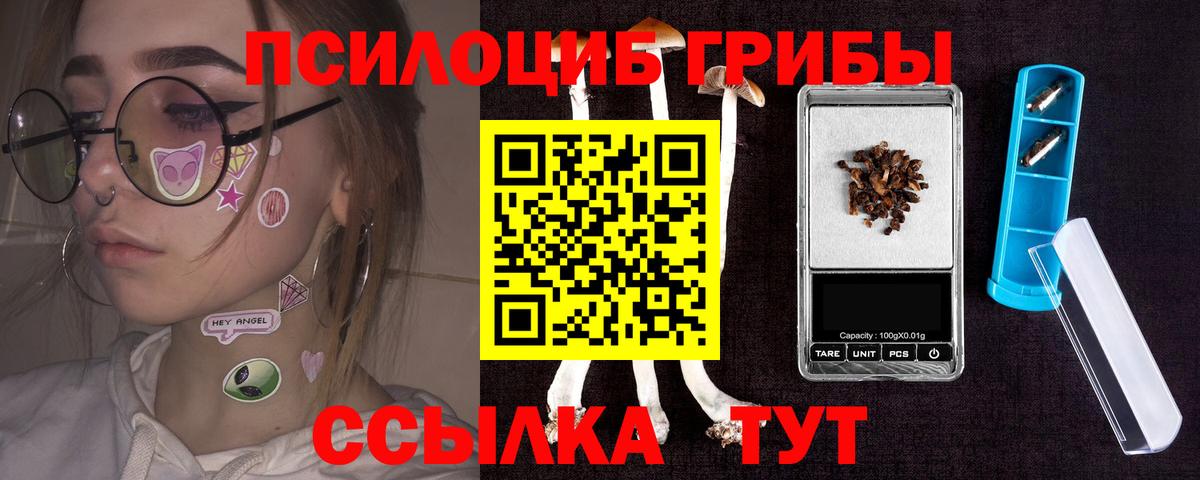 Сергиев Посад  Галлюциногенные грибы Psilocybe  Вход с VPN 
