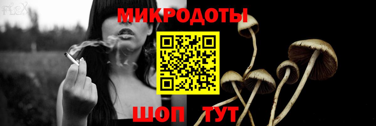 Галлюциногенные грибы Psilocybine cubensis Сергиев Посад